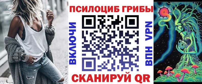 Псилоцибиновые грибы MAGIC MUSHROOMS  Починок 